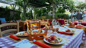 Agricampeggio Podernuovo BP