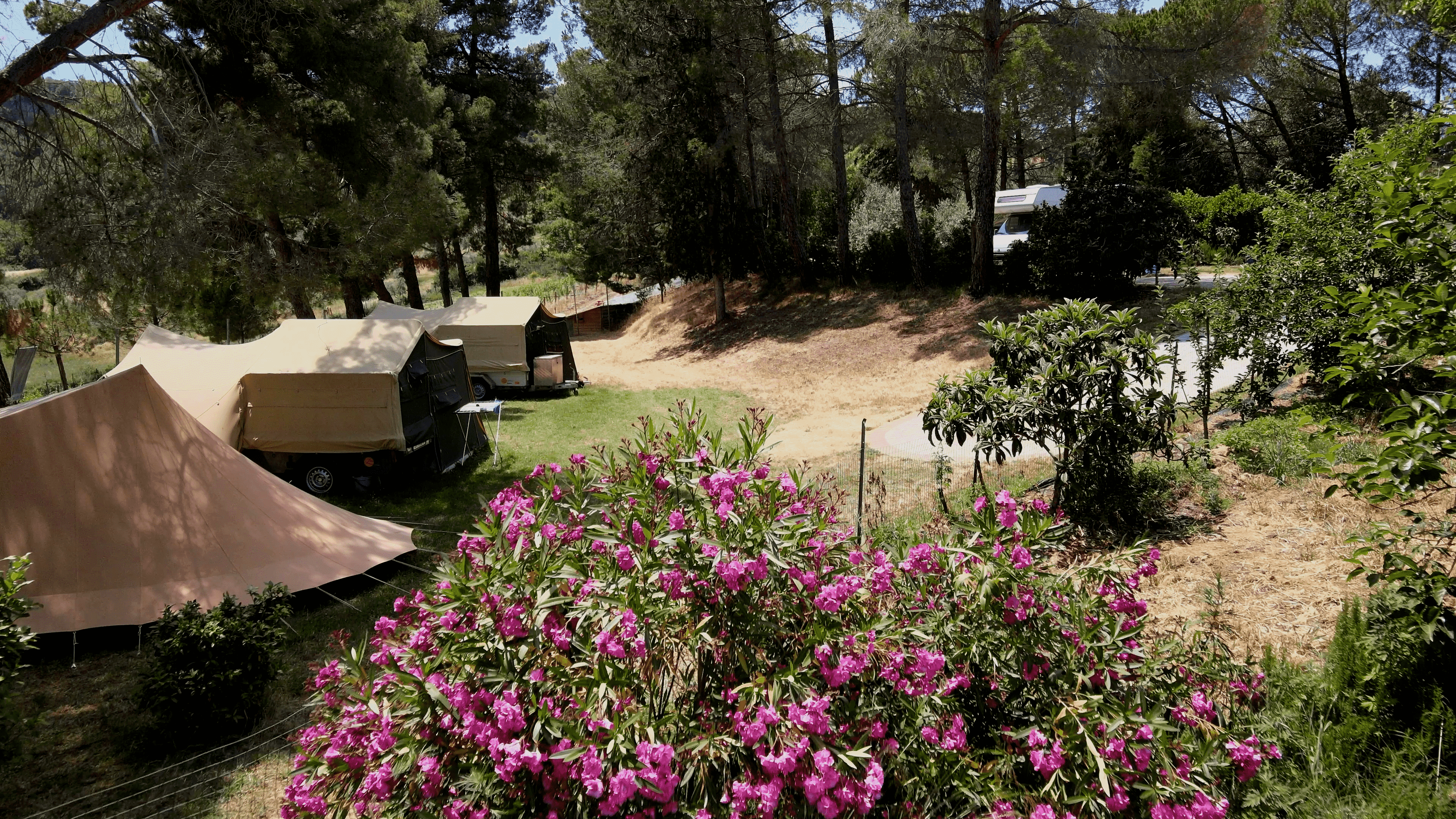 Agricampeggio Podernuovo BP