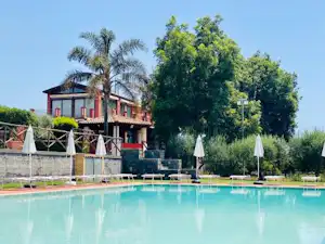 Schwimmbecken mit Liegen am Campingplatz, im Hintergrund Gebäude und Bäume, Palmen und Sonnenschirme am Rand.