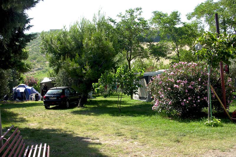 Agricamping Colle Verde - Zeltplatz im Grünen auf dem Campingplatz