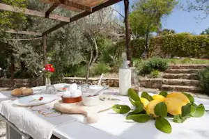Tisch mit weißer Tischdecke, Geschirr und Obst auf einer Terrasse im Campinggarten, umgeben von Steinstufen und Bäumen.
