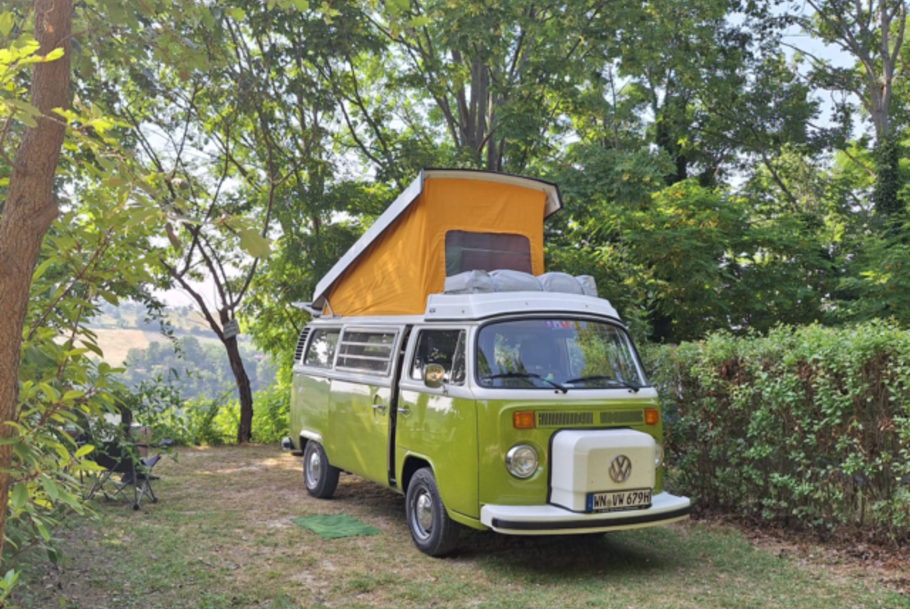 Grüner Camper-Van mit ausklappbarem Dach steht auf einer Wiese zwischen Bäumen im Campingbereich.