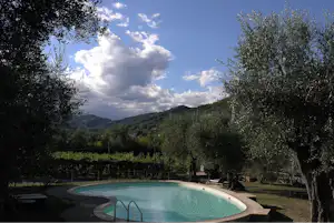 Agricamping La Villa - Pool auf dem Campingplatz