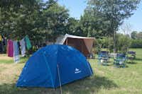 Agriturismo Alba - zeltwiese auf dem Campingplatz