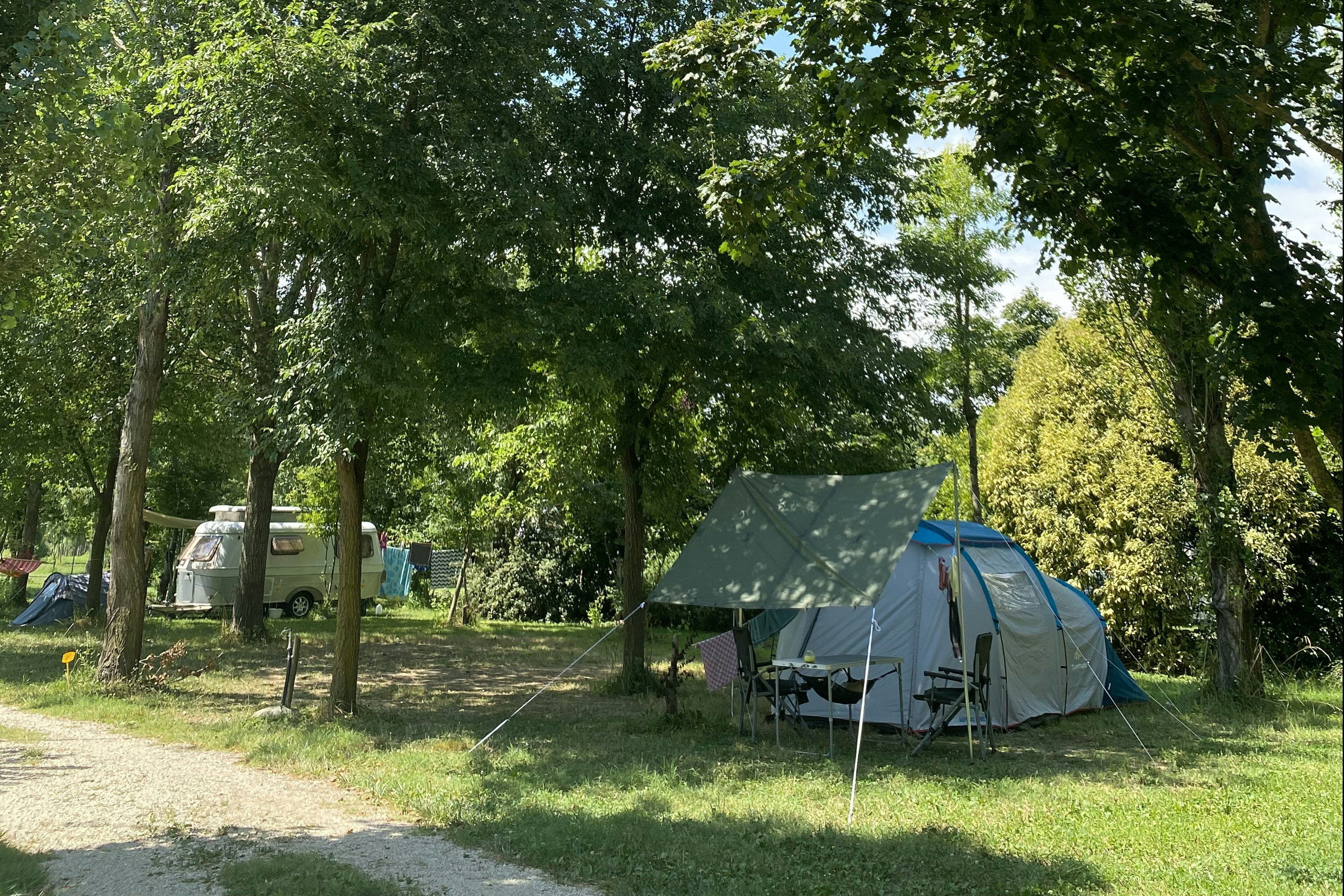 Agriturismo Biologico La Buona Terra - Zelt unter Bäumen