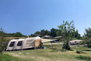 Campingzelte auf einer Wiese, mit Bäumen und mehreren Zelten im Hintergrund, daneben ein Fahrrad und Campingausrüstung.