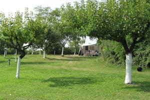 Agriturismo Cascina Le Volpi - Standplätze zwischen den Bäumen auf dem Campingplatz
