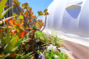 Erbe Matte Agriturismo Glamping