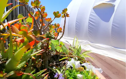 Erbe Matte Agriturismo Glamping