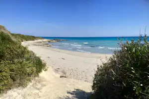 Sandstrand mit Dünen und Blick auf das blaue Meer, umgeben von Sträuchern und Küstenweg.