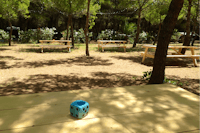Agriturismo Fontanelle - Entspannungsbereich mit Picknicktischen im Schatten der Bäume
