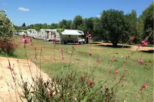 Wohnwagen und Wohnmobil auf einem Campingplatz, umgeben von Rasen, Bäumen und blühenden Sträuchern im Vordergrund.