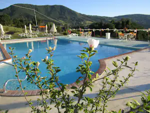 Blauer Camping-Pool mit Liegen und Sonnenschirmen, im Hintergrund grüne Berge und ein gepflegter Garten mit Sträuchern.