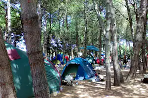 Zelte im Wald zwischen Bäumen, ein blaues Zelt und weitere Campingausrüstung auf einem schattigen Stellplatz.