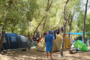 Zelte im Wald auf einem Campingplatz, zwischen Bäumen und Wäscheleinen, mit Campingstühlen und Taschen am Boden.