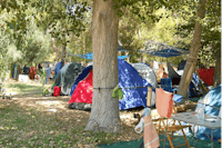Agriturismo Malapezza - Zeltplätze im Schatten der Bäume