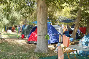 Zeltreihe auf einem Campingplatz im Schatten großer Bäume, daneben Stühle und Wäscheleine zwischen den Zelten.