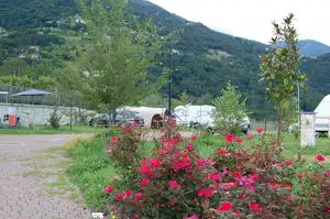 Blumenbeet am Campingplatz mit Stellplätzen, Wohnwagen und Zelten, im Hintergrund grüne Berge und Bäume.