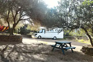 Weißer Campingbus auf einem Stellplatz zwischen Olivenbäumen, daneben ein Picknicktisch auf gepflastertem Weg.