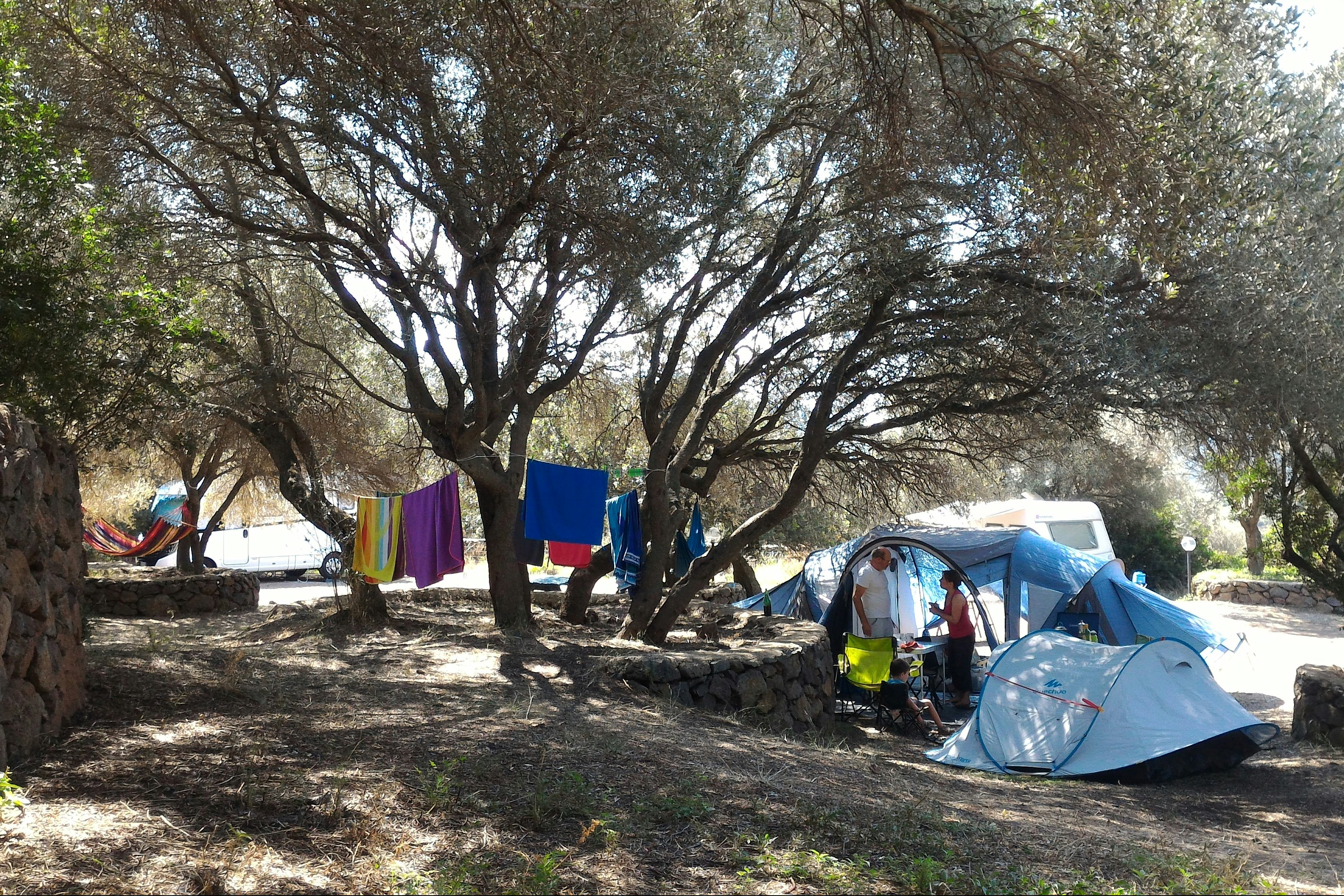 Campingplatz mit mehreren Zelten im Schatten der Bäume, daneben ein Auto und ein kleiner Tisch auf dem Stellplatz.