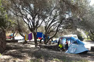 Campingplatz mit mehreren Zelten im Schatten der Bäume, daneben ein Auto und ein kleiner Tisch auf dem Stellplatz.