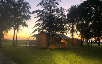 Glamping Tenuta Regina Bed&Breakfast