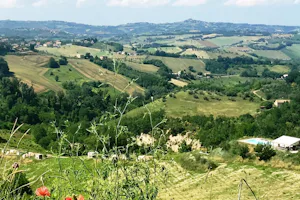 Agriturismo Unico Senso - Blick in die Umgebung des Campingplatzes