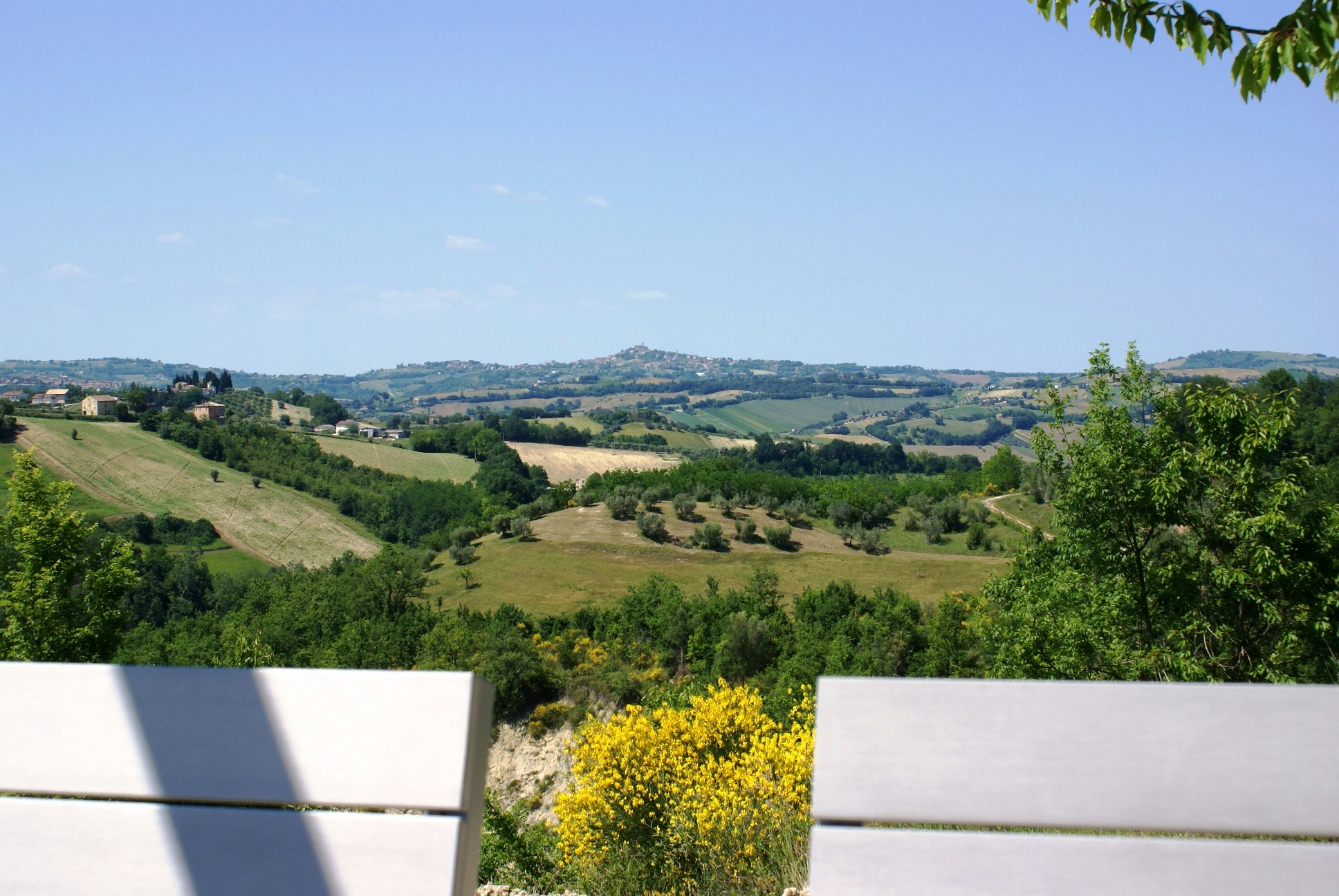 Agriturismo Unico Senso