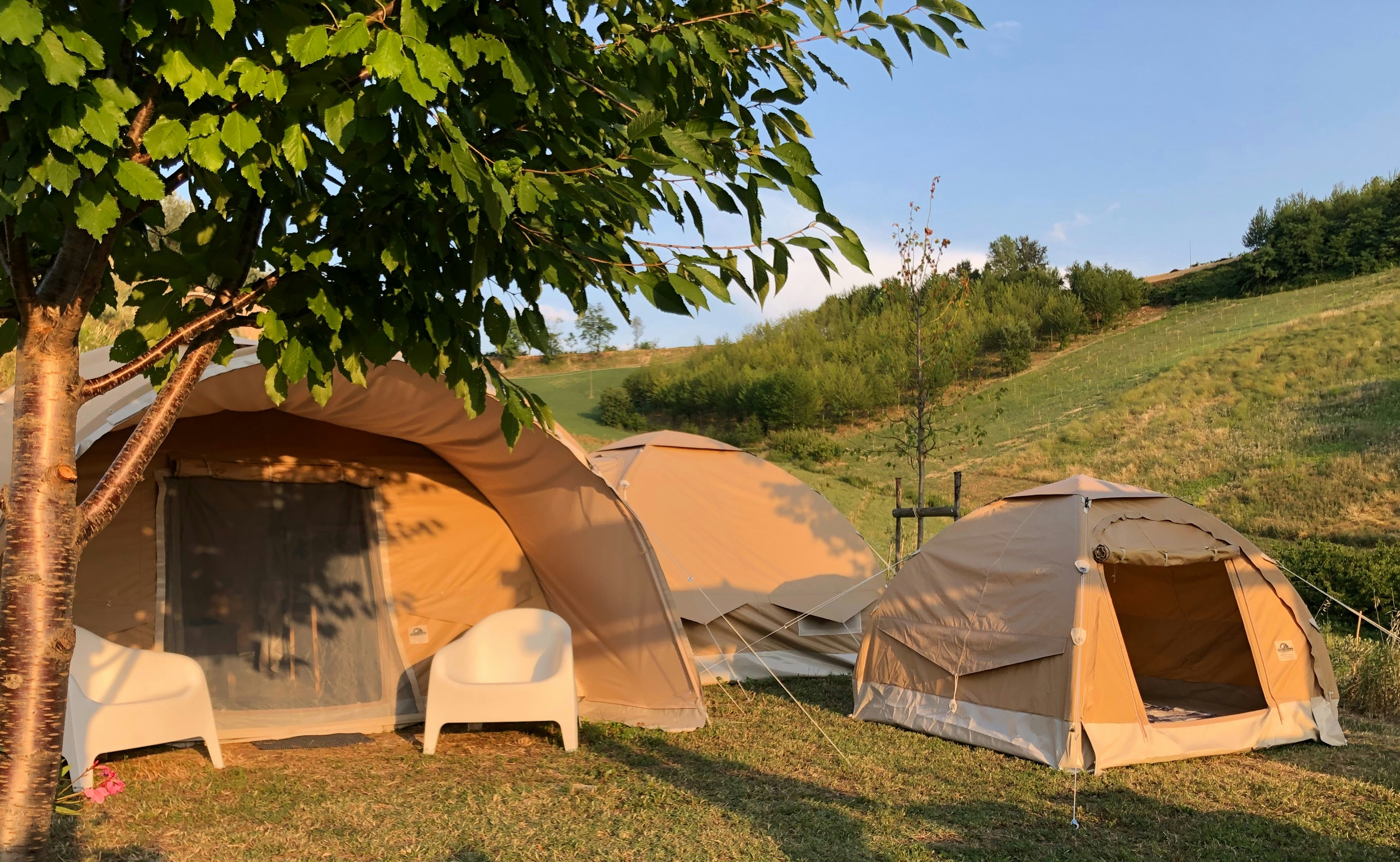 Agriturismo Unico Senso