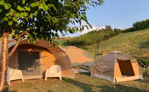 Zelte auf einem Campingplatz im Grünen, mit Baum im Vordergrund und Wiese am Hang im Hintergrund.