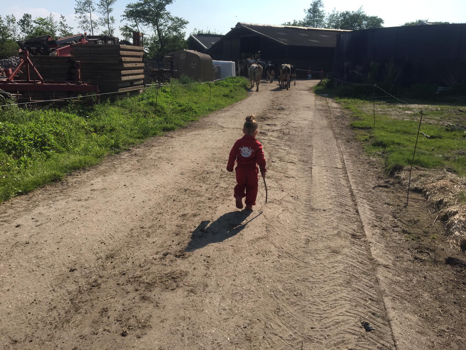 Agro-Camping Ormsby Field