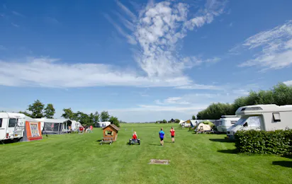 Agro-Camping Ormsby Field