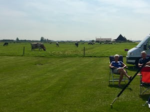 Agro-Camping Ormsby Field - Standplatzwiese neben einer Kuhweide