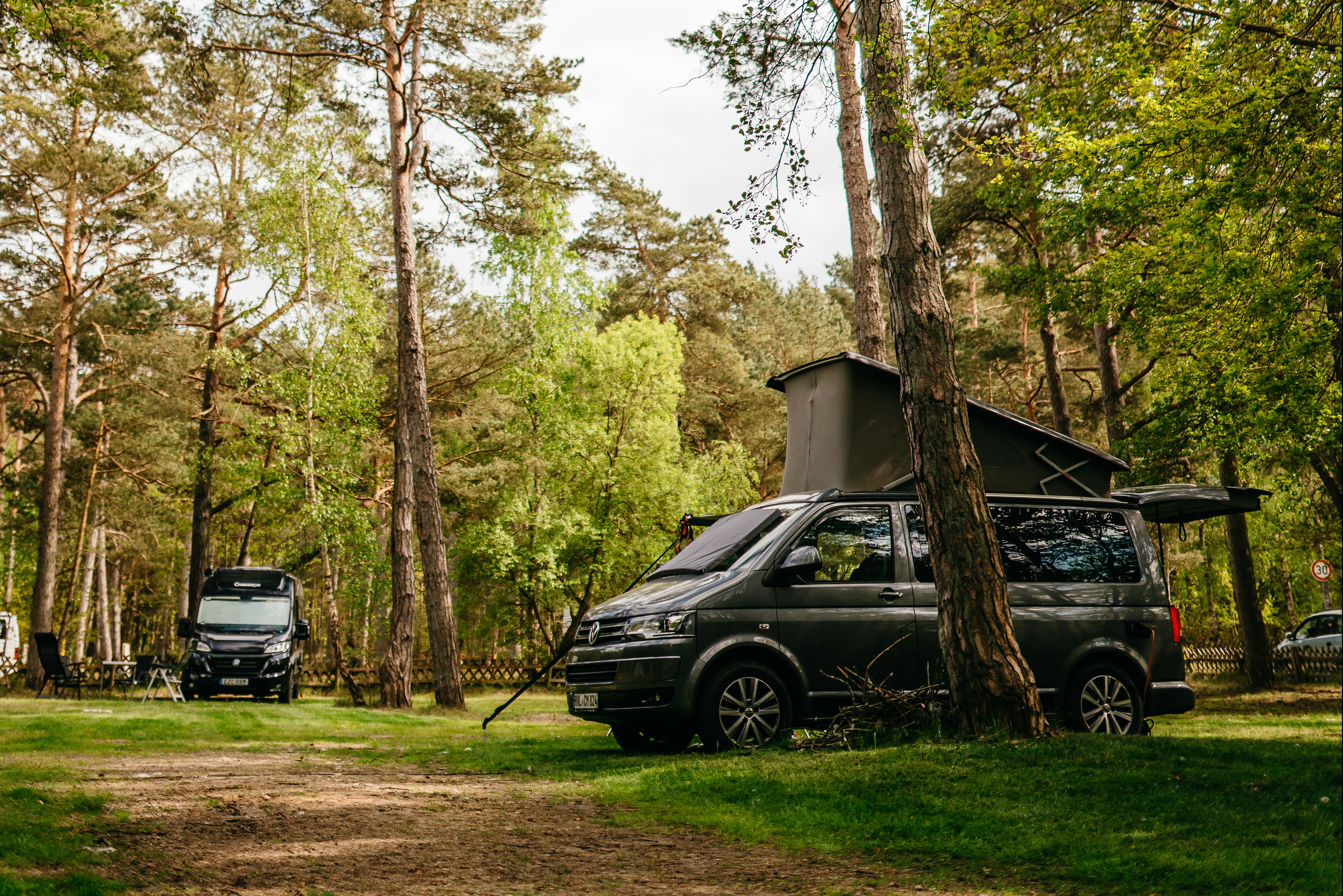 Ahoi Camp Darß - Standplätze zwischen den Bäumen auf dem Campingplatz
