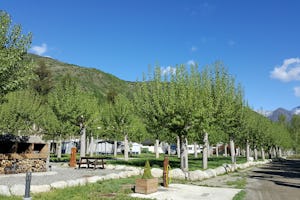 Aigüestortes Camping Resort - Standplätze zwischen den Bäumen auf dem Campingplatz