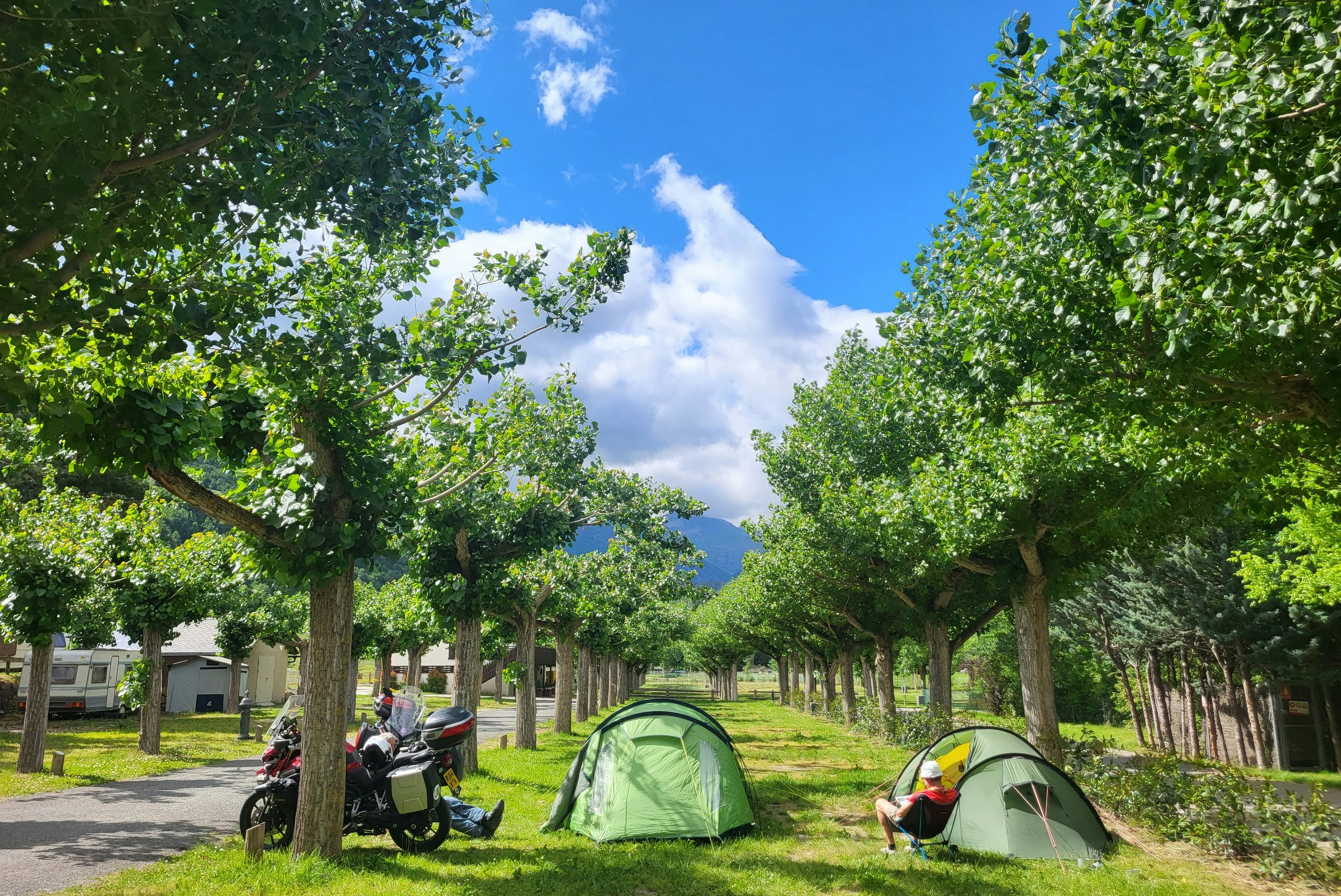 Aigüestortes Camping Resort - Zeltplätze zwischen den Bäumen auf dem Campingplatz