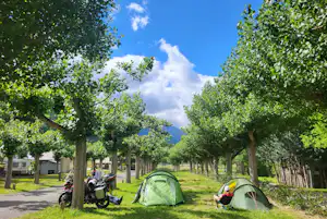 Aigüestortes Camping Resort - Zeltplätze zwischen den Bäumen auf dem Campingplatz
