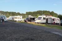 Aird Donald Caravan Park - Standplätze des Campingplatzes