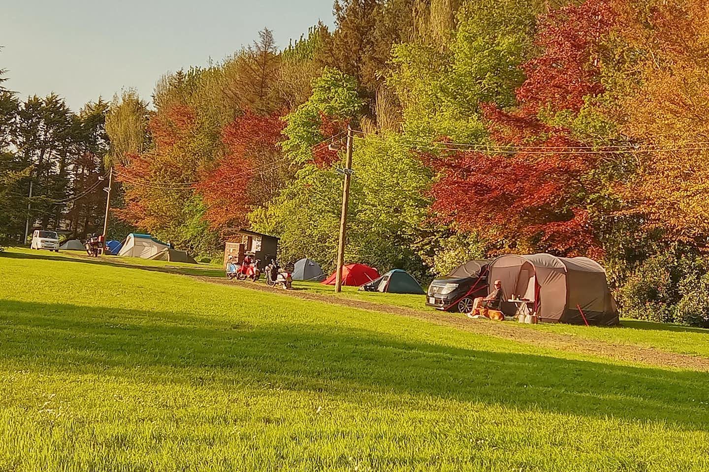 Aird Donald Caravan Park - Zeltbereich des Campingplatzes