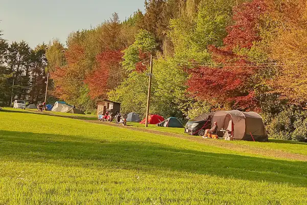 Aird Donald Caravan Park