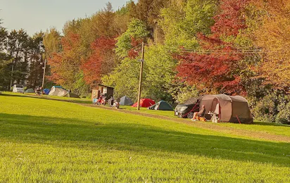 Aird Donald Caravan Park