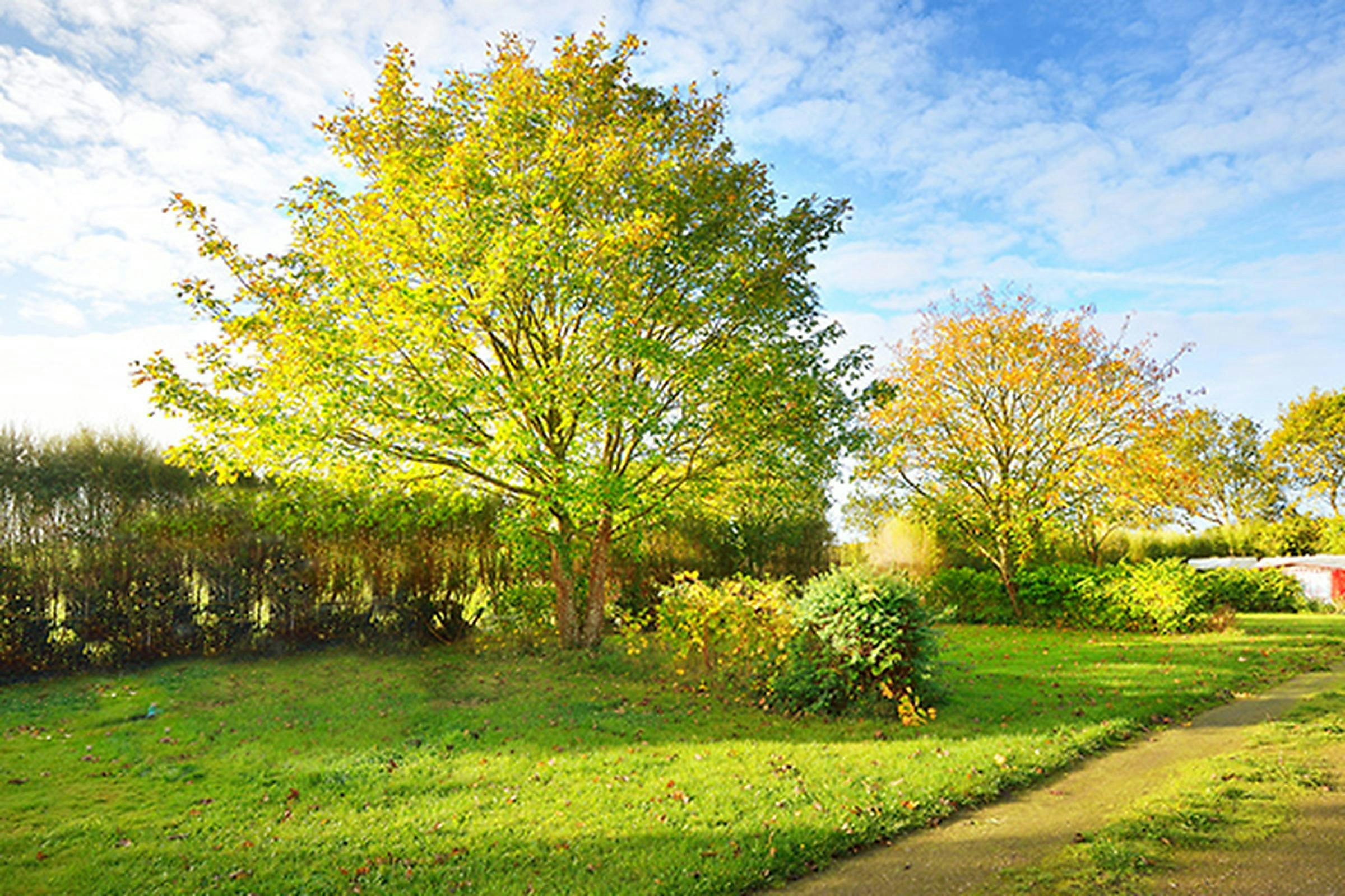 Marvilla Parks La Baie de Kernic  Aire La Baie du Kernic - Standplätze auf Wiese auf dem Campingplatz
