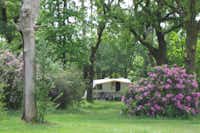 Aire Naturelle Camping du Toy - Wohnmobil- und  Wohnwagenstellplätze im Schatten der Bäume