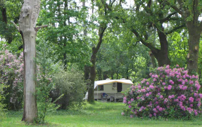 Naturcamping du Toy