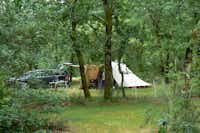 Aire Naturelle Camping du Toy - Zeltplatz im Grünen auf dem Campingplatz