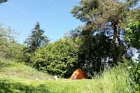 Aire Naturelle de Camping Les Cerisiers - Zeltplätze im Schatten