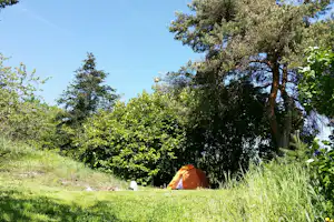 Aire Naturelle de Camping Les Cerisiers - Zeltplätze im Schatten