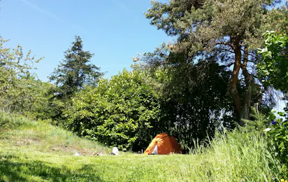 Aire Naturelle de Camping Les Cerisiers