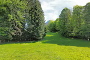 Grünes Campinggrundstück mit Rasenfläche, Bäumen und Hecken, im Hintergrund ein Weg und Berge.