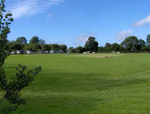 Weite grüne Wiese auf einem Campingplatz, im Hintergrund Zelte und Wohnwagen zwischen Bäumen und Hecken.